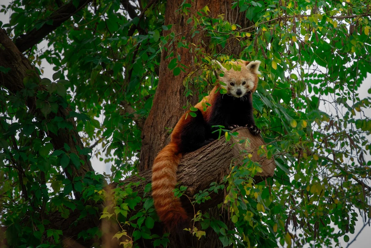 Siapa yang Termasuk dalam Kategori UMKM?