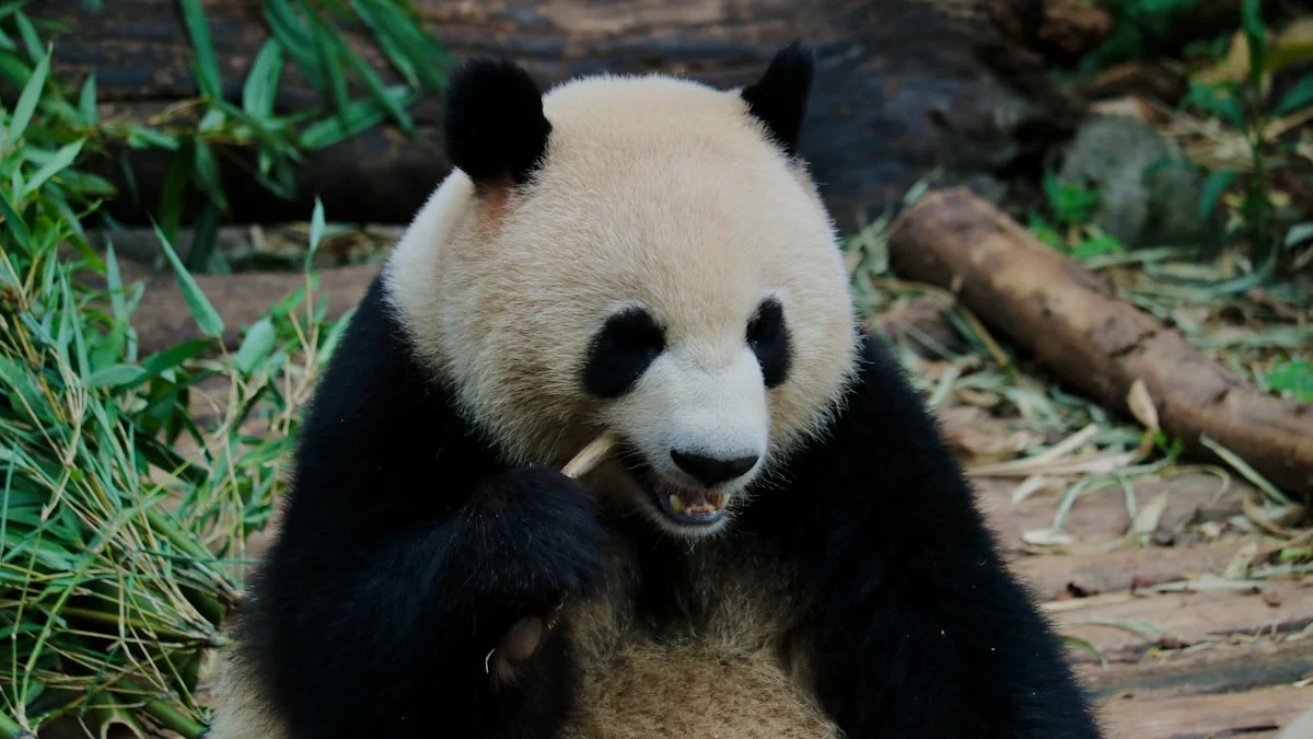 Panduan Lengkap Cara Membuat Kode Billing untuk Pembayaran Pajak