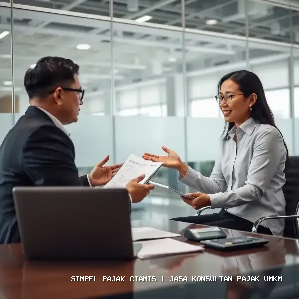 Jasa Konsultan Pajak UMKM Ciamis